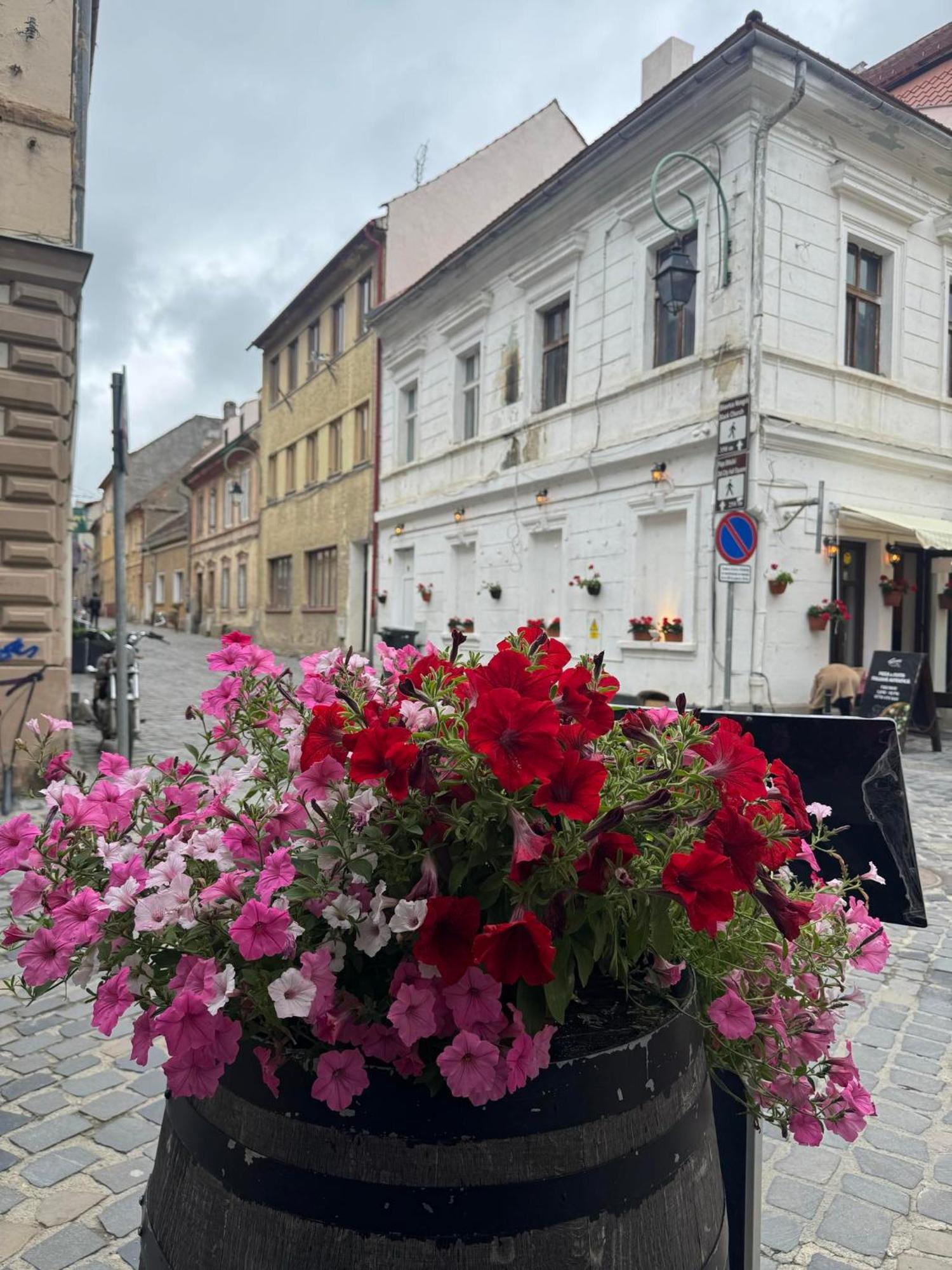 Saint Marco35Th Apartment Brasov Exterior photo